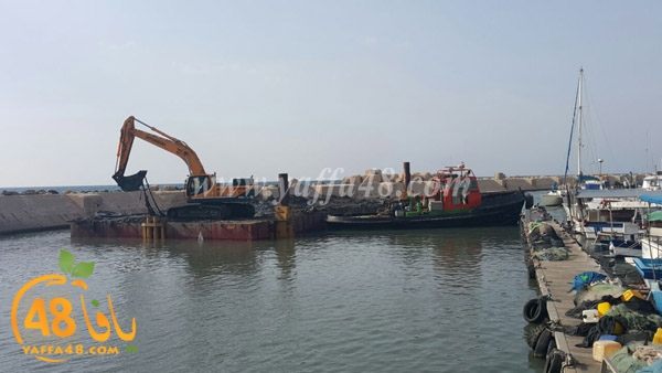 mina2 tandeefat3 (2).jpg